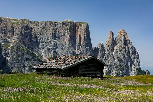 Seiser Alm mit Schlern