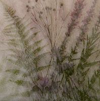 collage with fern and cattail, multiple exposure