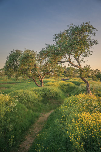 Werk aan de Groeneweg