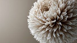 Een prachtige witte bloemenpracht van Jonas Weinitschke