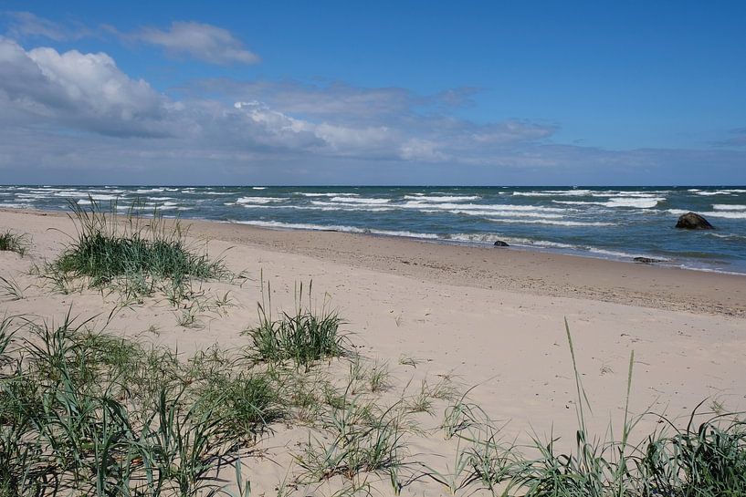 Young dunes by Ostsee Bilder
