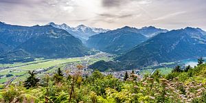 Uitzichtpunt Zwitserse Alpen van Dafne Vos