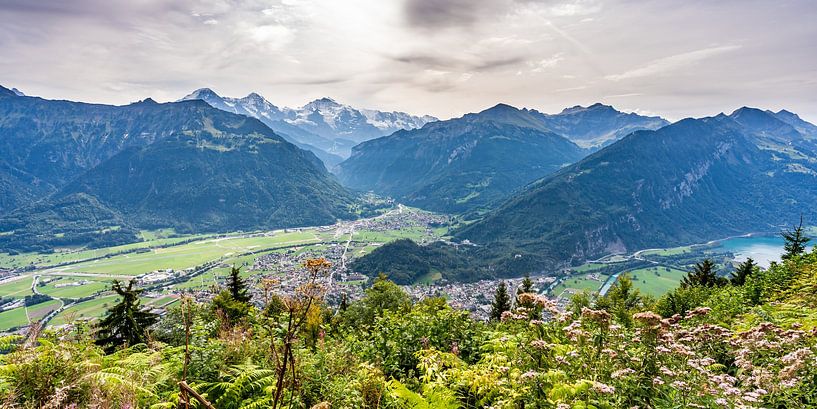 Point de vue Alpes suisses par Dafne Vos