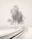 Snowy Road von Lena Weisbek Miniaturansicht