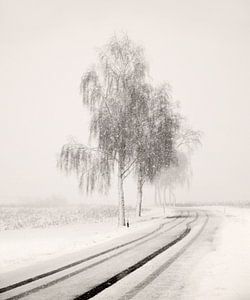 Snowy Road