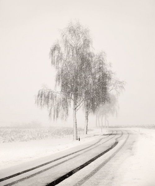 Snowy Road von Lena Weisbek