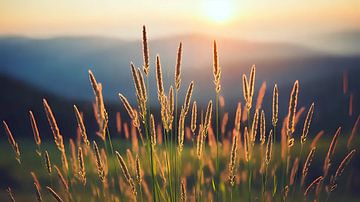 Zacht licht op de bergkam