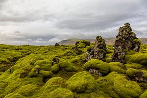 De met mos begroeide lavavelden van Eldhraun in IJsland