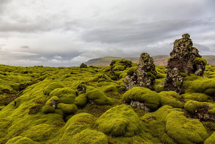 De met mos begroeide lavavelden van Eldhraun in IJsland van Paul Weekers Fotografie