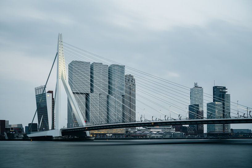 Skyline von Rotterdam mit Erasmus-Brücke von Lorena Cirstea