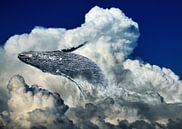 Wale in clouds von Sarah Richter Miniaturansicht