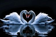 Two swans form heart on water by Art & Soul Creations thumbnail