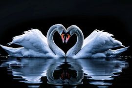 Two swans form heart on water by Art & Soul Creations
