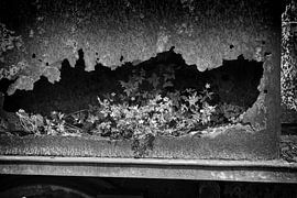 industriele bloembak von Jean Jacobs