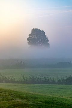 Sonnenaufgang in einer nebligen Landschaft bei IJlst in Friesland. Wout Kok One2expose Fotografie. von Wout Kok