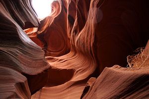 Untere Antelope-Schlucht Aussicht 5