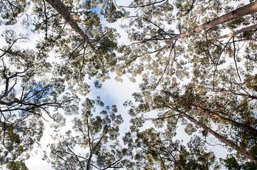 Parc national de Gloucester sur Richard Wareham