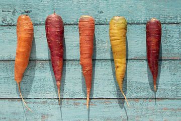 Farben der Karotte