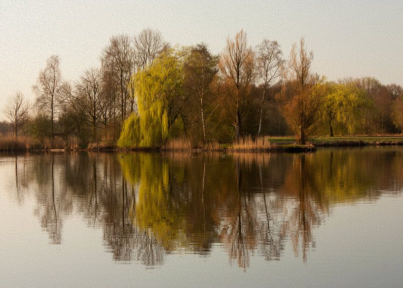 Dutch Light - landscape photography at sunrise by QEIMOY