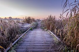 Plattform in Bossche Broek, Hertogenbosch von Ger van Beek