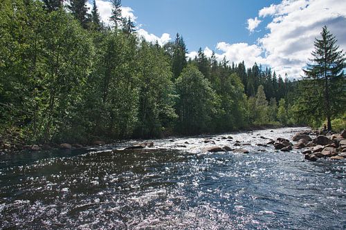 De rivier Fämtån