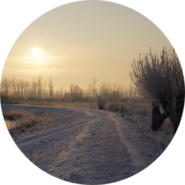 Besneeuwde dijk en wilgen van Michel van Kooten