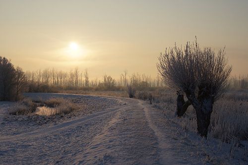 Besneeuwde dijk en wilgen von Michel van Kooten