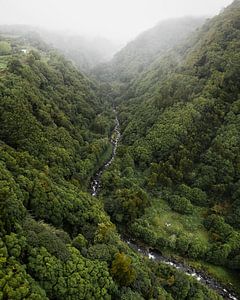 Schlängelnder Fluss durch die Wälder von São Miguel