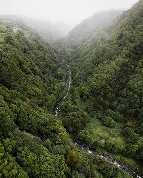 Kronkelende Rivier door bossen van São Miguel van Visuals by Justin