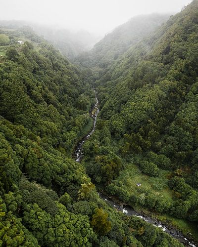 Rivière sinueuse à travers les forêts de São Miguel sur Visuals by Justin