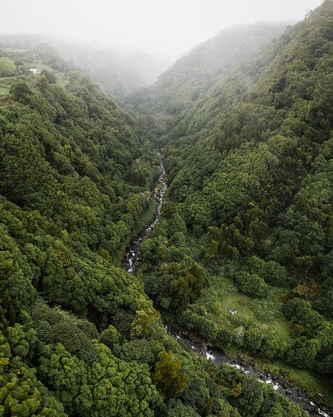 Schlängelnder Fluss durch die Wälder von São Miguel von Visuals by Justin