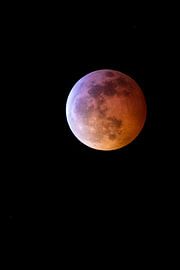 Superbloodmoon by Koen Boelrijk Photography