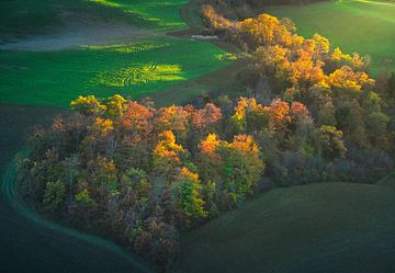 Herfstlandschap. Kleurrijke bossen in Toscane van Stefano Orazzini