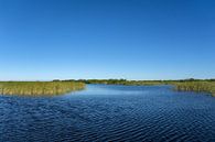 USA, Florida, Water landscape with sawgrass and estuary of everglades by adventure-photos thumbnail