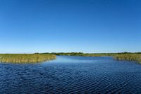 Verenigde Staten, Florida, Waterlandschap met sawgrass en estuarium van everglades