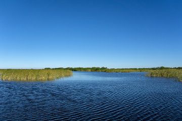 Verenigde Staten, Florida, Waterlandschap met sawgrass en estuarium van everglades van adventure-photos