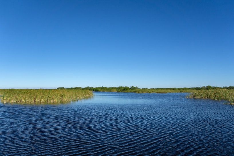 USA, Florida, Water landscape with sawgrass and estuary of everglades by adventure-photos