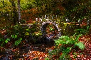 kleine Brücke im Wald