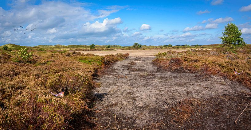 Open spot in the dune landscape, Texel by Rietje Bulthuis