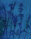 Sogni di fiori.  Retro Blumen, Pflanzen und Gräser in Blau von Dina Dankers Miniaturansicht