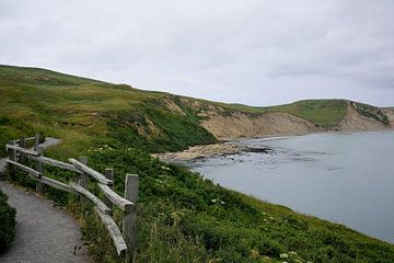 Spaziergang zur See-Elefanten-Kolonie von Frank's Awesome Travels