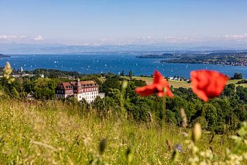 Spetzgart Castle near Überlingen on Lake Constance by Werner Dieterich