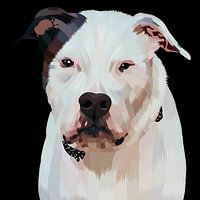 süßer Pitbull-Hund