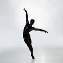ballet van vecbase thumbnail