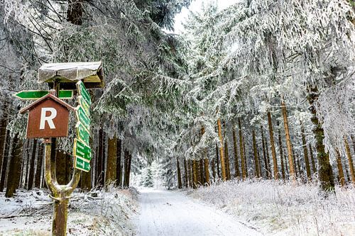 Prachtig winterlandschap op de hoogten van het Thüringer Wald