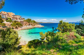 Spanje Middellandse Zeekust, Mallorca strand Platja d'Illetes, Balearen van Alex Winter