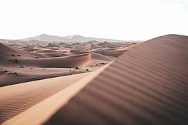 Sahara duinen bij Merzouga, Marokko