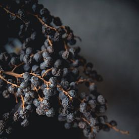 Dried berries by Melanie Schat