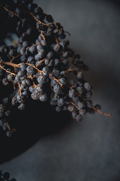 Getrocknete Beeren von Melanie Schat