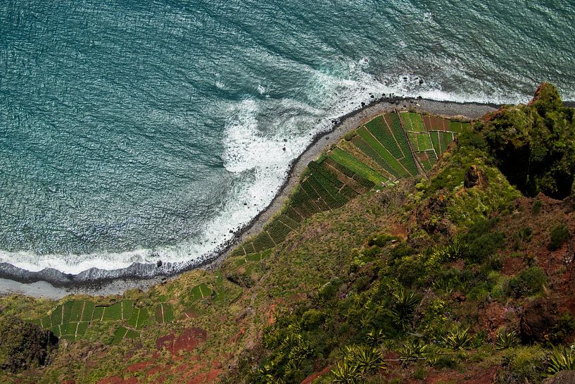Cabo Girão - Câmara de Lobos, Madère par Nynke Altenburg